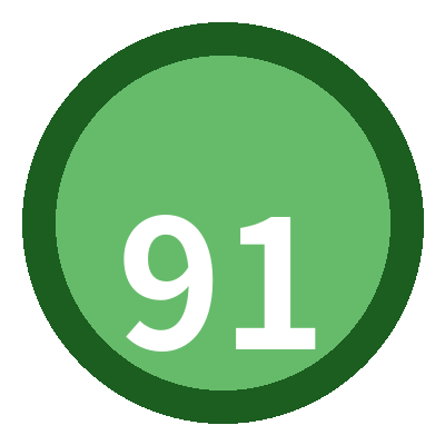 91 Logo